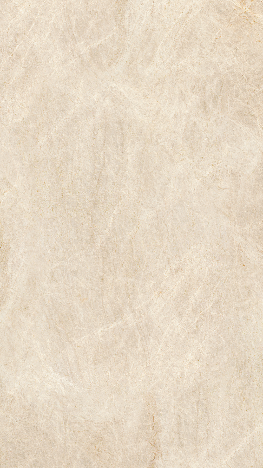 Taj Mahal Optimum Surfaces